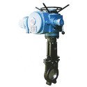 Electric Knife Gate Valve