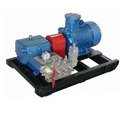 Reciprocating Pumps