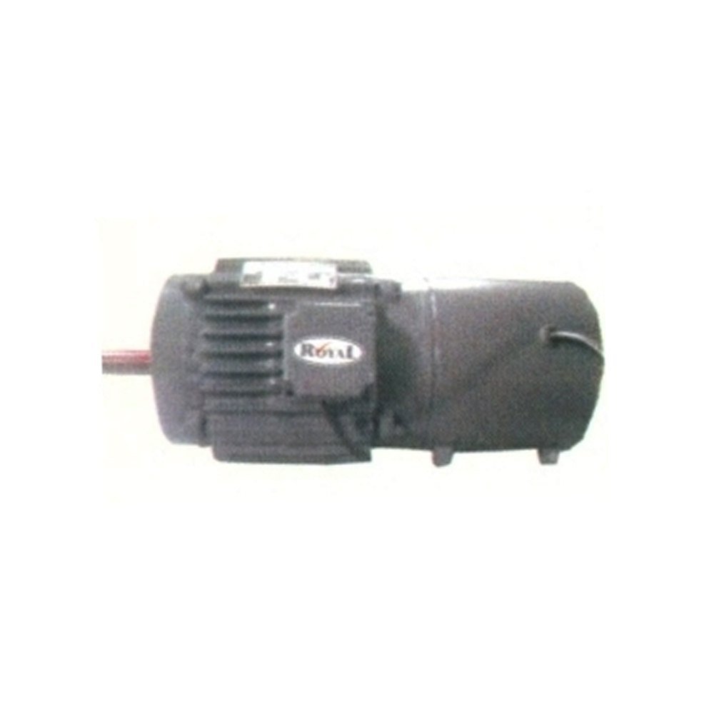 Royal Single Phase AC Brake Motor, Power: 10 Kw, 120 V