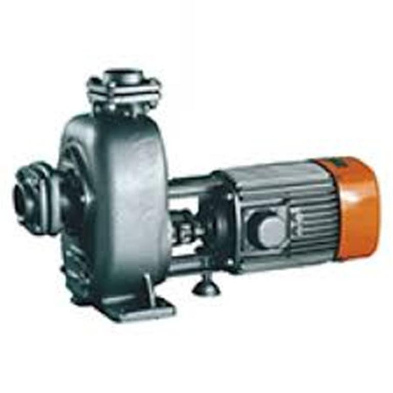 Cast Iron 0.5 Onwards Kirloskar Self Priming Pump