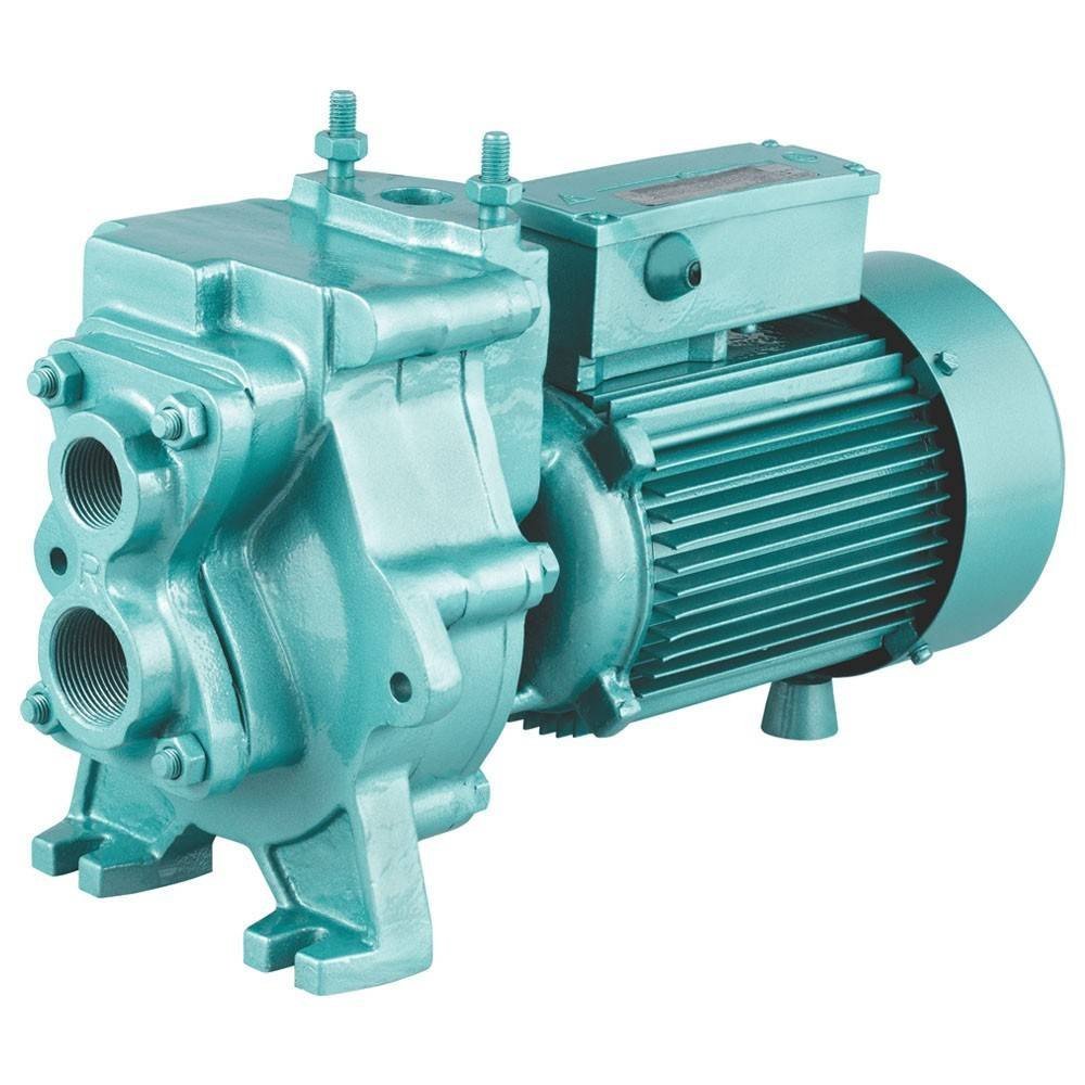 Electric 0.5 HP CRI Water Pump