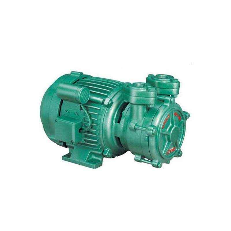 0.5 hp Texmo Centrifugal Monoblock Pump, Model Name/Number: Dms 02