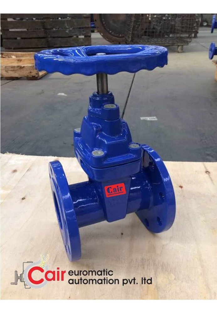 Cair Di Rubber Seated Sluice Gate Valve