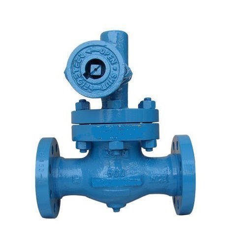 Ibr Leader Make Blowdown Valves