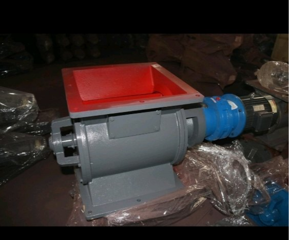 Heavy Duty Cast Iron Rotary Air Lock Valve, Model Name/Number: Symbiosis