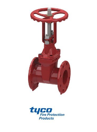 SS CS Tyco Valves