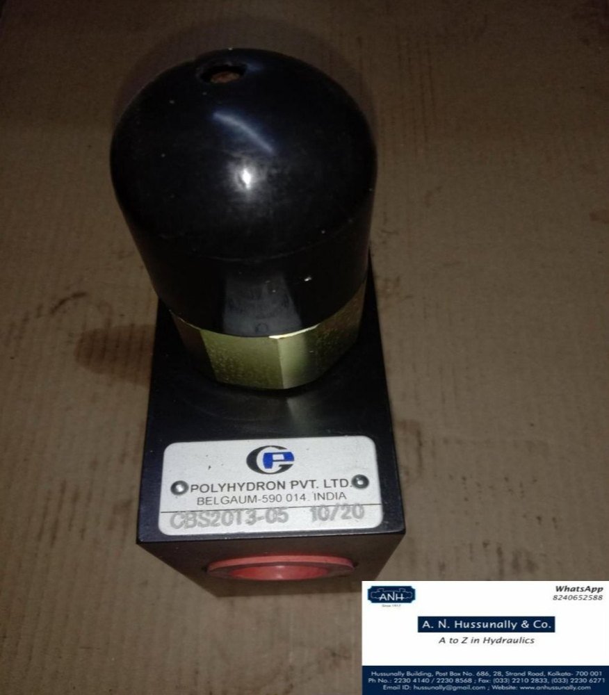 Polyhydron Stainless Steel CBS20 Counter Balance Valve, For Industrial, Valve Size: 2 Inch