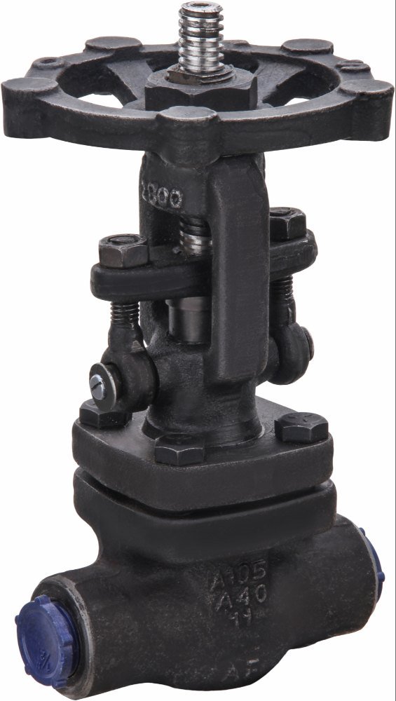 CS A105 Screwed Forged Steel Gate Valve, End Connection: Se & Sw, Size: 1/2 To 2 Inche