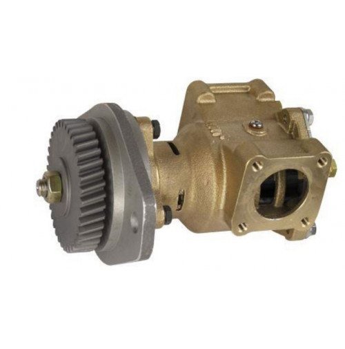 Diesel SEA WATER PUMP RAW WATER PUMP, Marine Engine