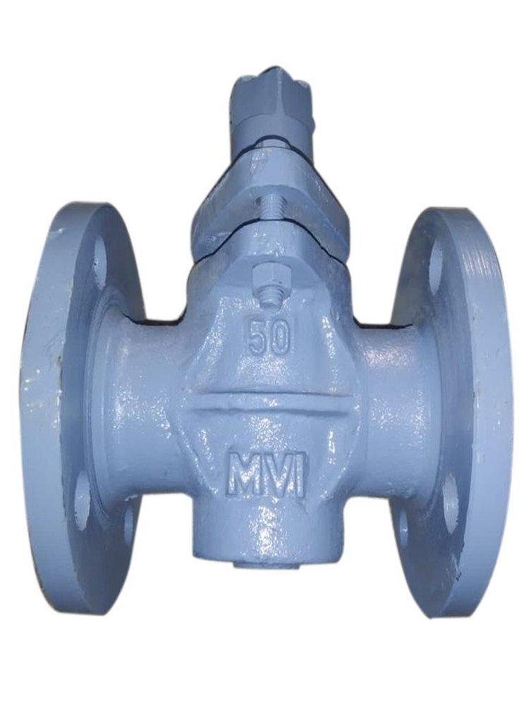 CI Gland Cock Valve