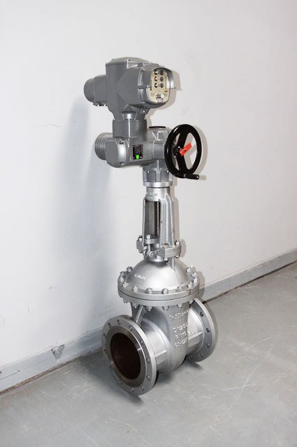 Hastelloy Valve