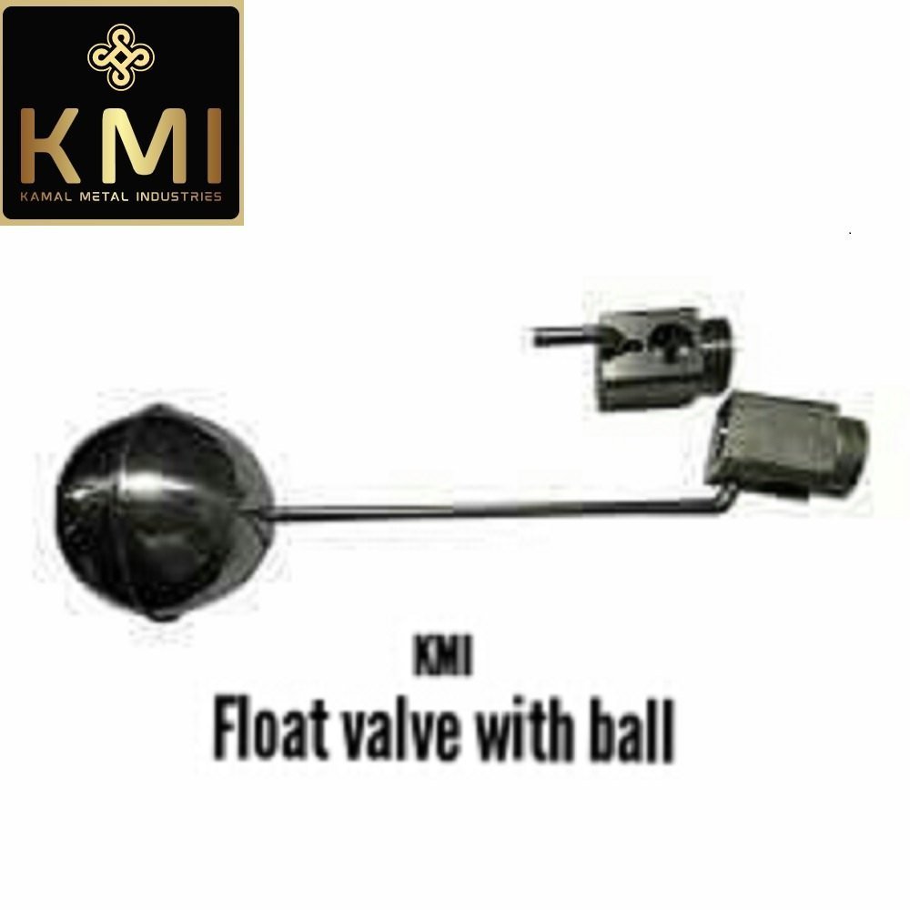 SS FLOAT VALVE WITH BALL INDIAN, For Water, Size: 1/2 Inch