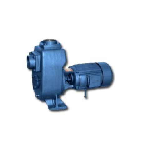 Globe Star Single Phase Mono Block Pump, Maximum Discharge Flow: Less than 100 LPM