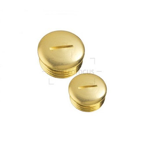 Polished Brass Stopping Plug, Size: 19 Mm