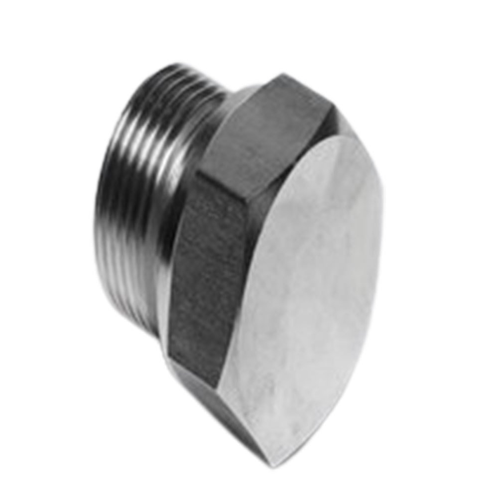 Hexagonal Stainless Steel Hex Plug, Size: 1/4 Inch