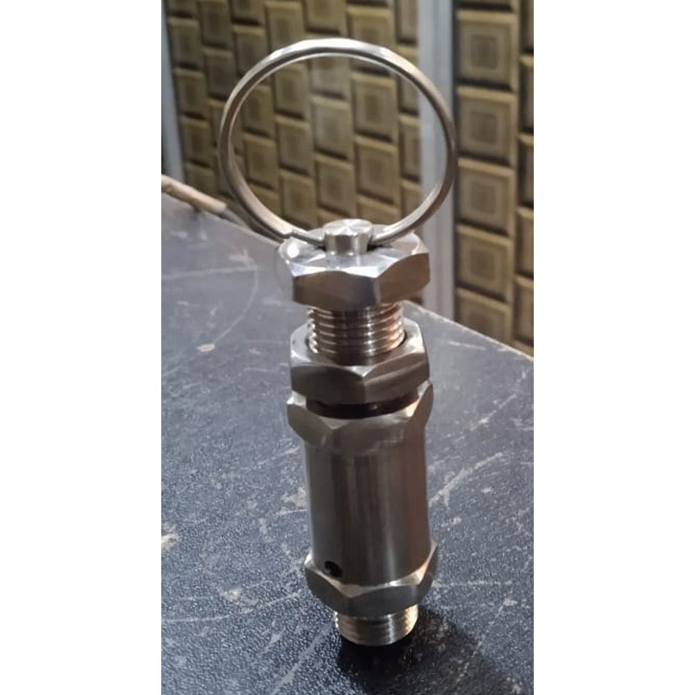 50 Psi Stainless Steel Pressure Relief Valve, Size: 0.75inch