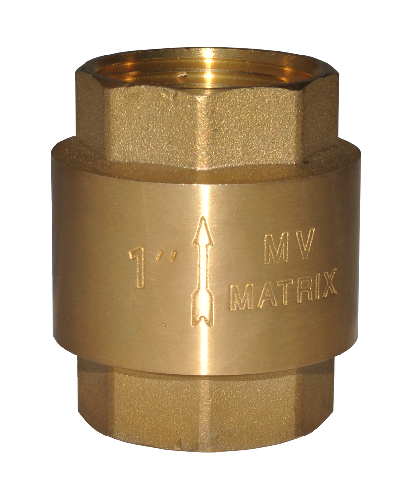 Vertical Check Valve