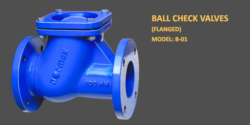 B-01 Flanged Ball Check Valve, Size: 25 mm