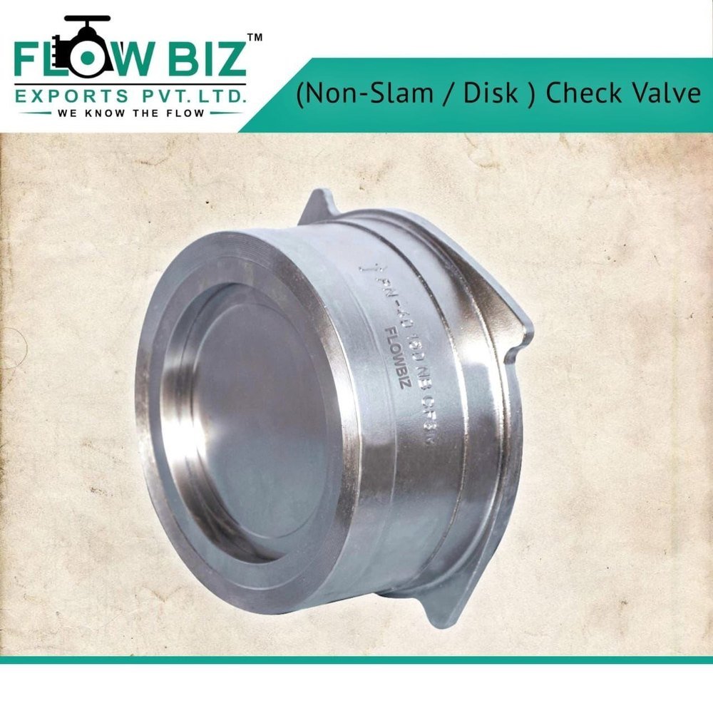 Wafer Type 20 Bar Non Slam Check Valve