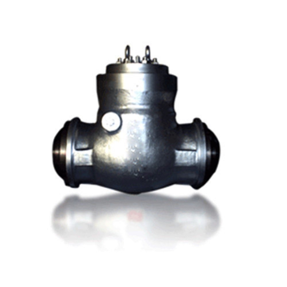 Cast Iron Pressure Seal Check Valves