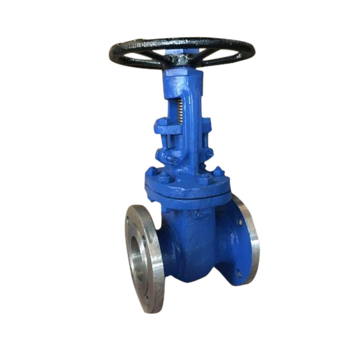 Flanged End Gate Valve, Size: 25MM