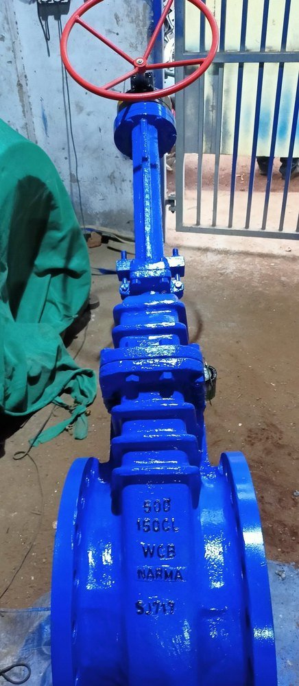 Cs, SS Flanged End Cs Gate Valve, Cs Gate Valve Flanged End, Flange Ends, Size: Up To 24