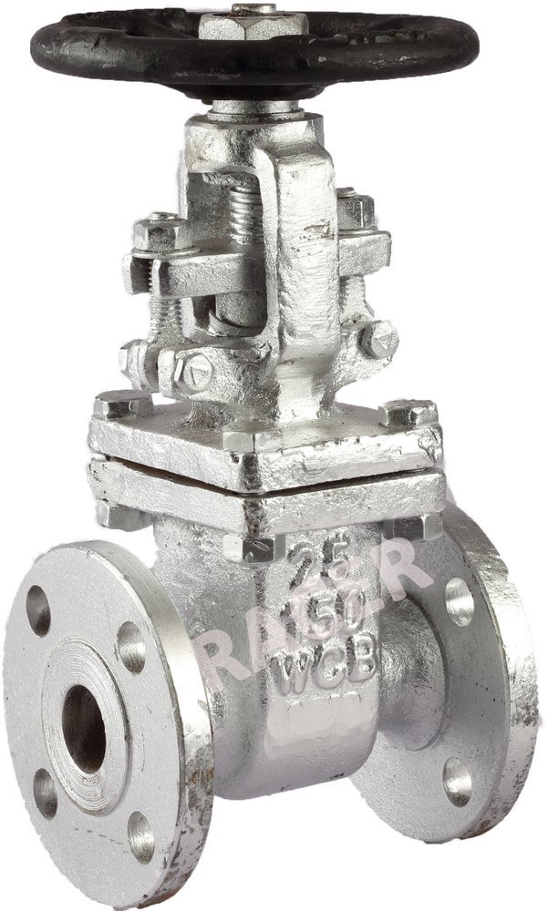 Racer SS Gate Valve Flanged End, Size: 25mm