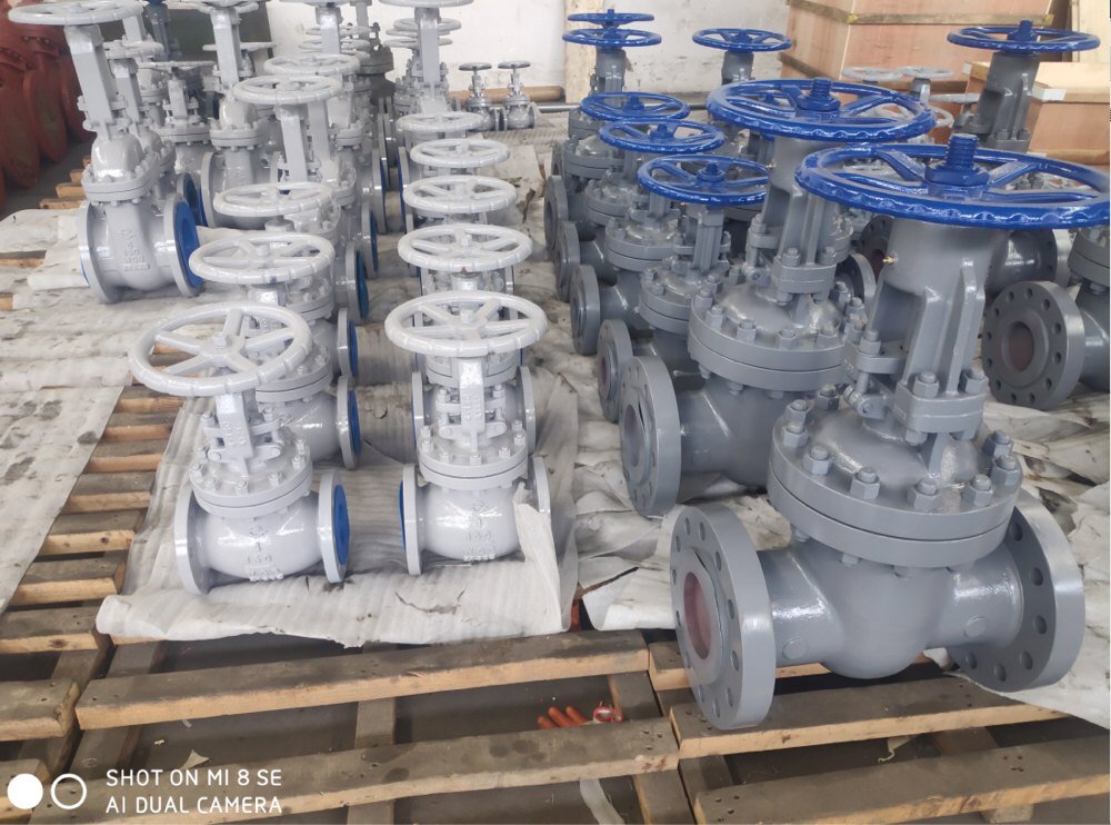 SVR Flanged Gate Valve, Size: 2 -48