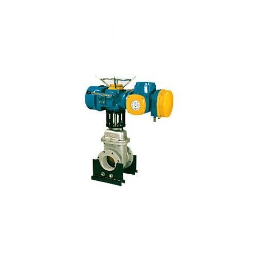 Motorised Gate Valve