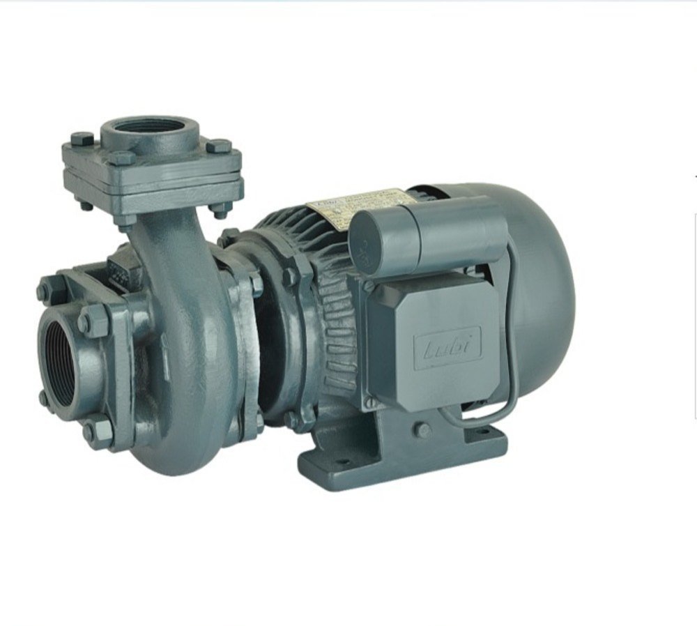 Cast Iron 2.2 kW Lubi Centrifugal Monoset Pump