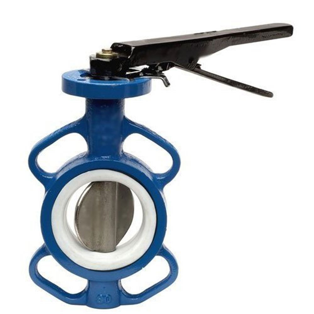 PTFE Butterfly Valves