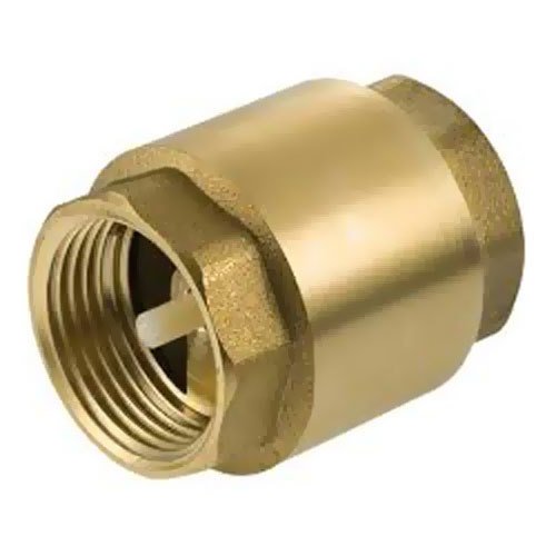 Brass Non Return Valve