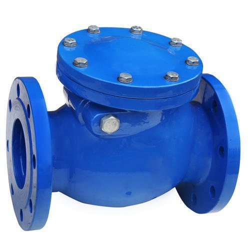 Rajpati Enterprise Cast Iron Non Return Valve, Flanged