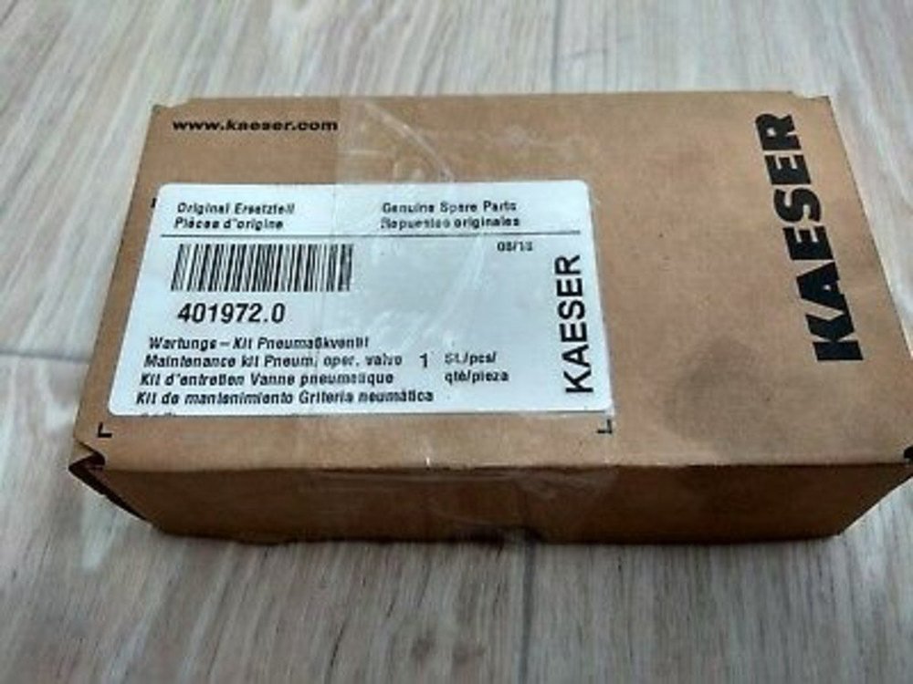 Kaeser Pneumatic Oper Valve Maint Kit 401972, Packaging Type: Box