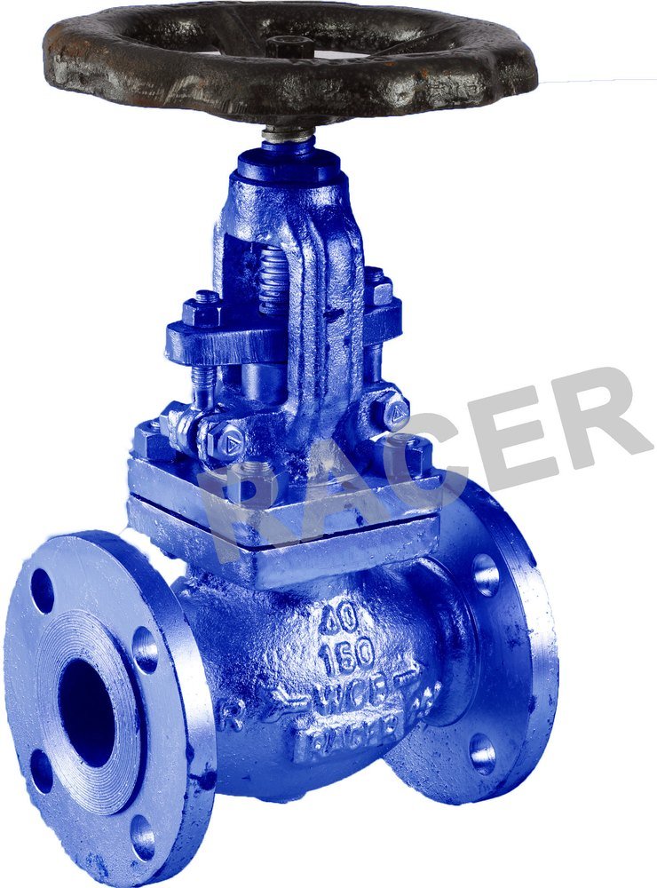 Flanged End CS Globe Valve, for Water