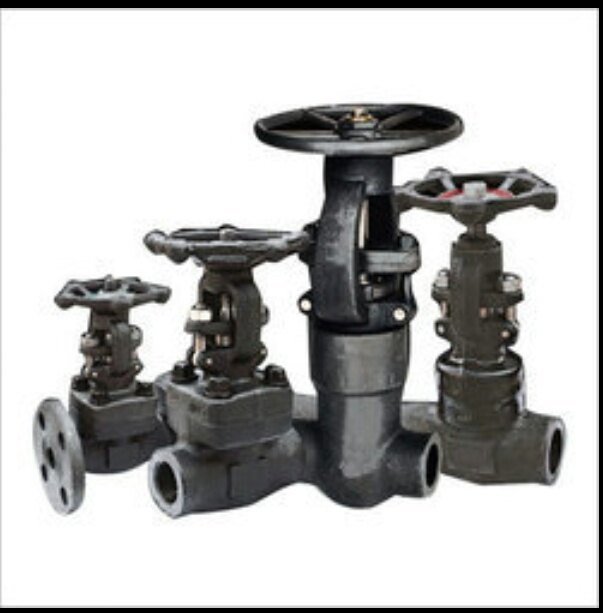 Forged Stainless Steel Globe Valve, For Industrial