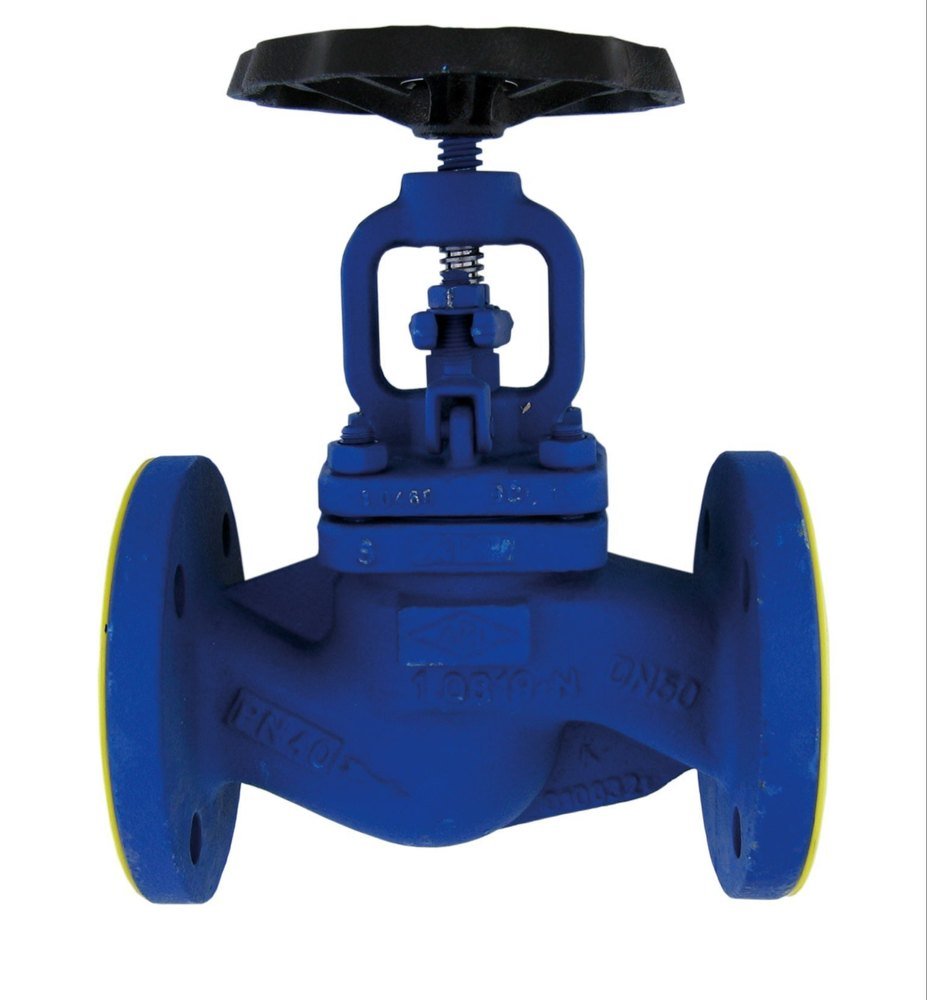 Stainless Steel CS Globe Valve, For Industrial