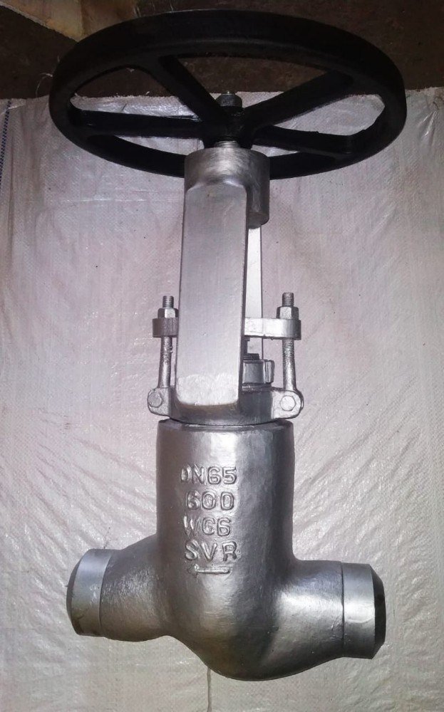 ASTM A105 WC6 Globe Valve