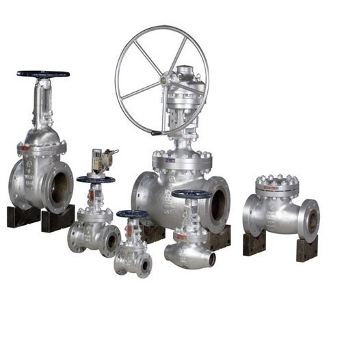 Stainless Steel Manual L & T Globe Valves for Industrial