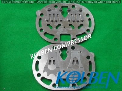 Carrier 06E Valve Plate Assembly, Export Packing