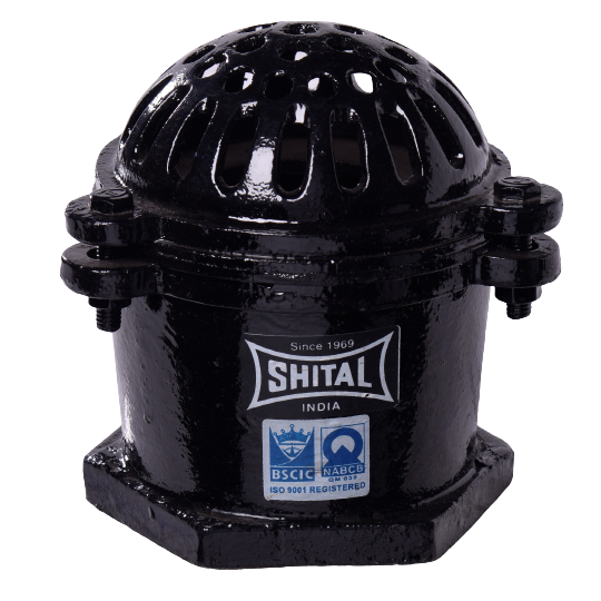 Shital Black / Green 4 Bolt Cast Iron Foot Valve Threaded (Screwed) Flap Type, Size: 2 - 6 (50mm - 150mm)