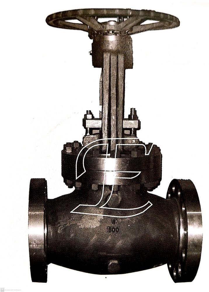 Bs 1873 SS/WCB Din Globe Valves