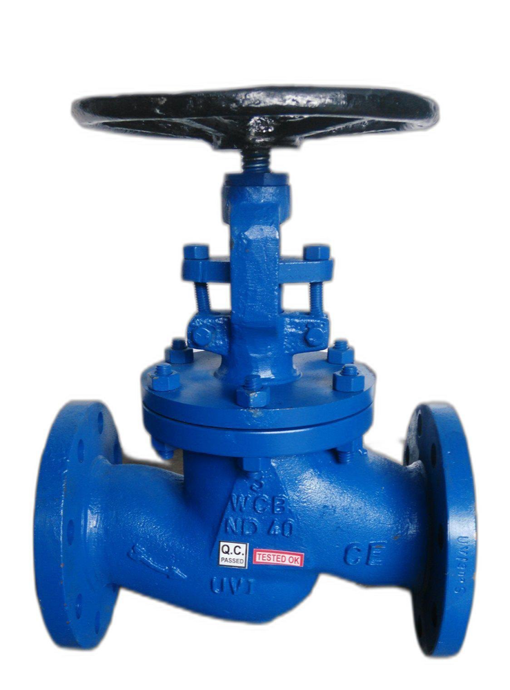 Stainless Steel CS Globe Valve, For Water