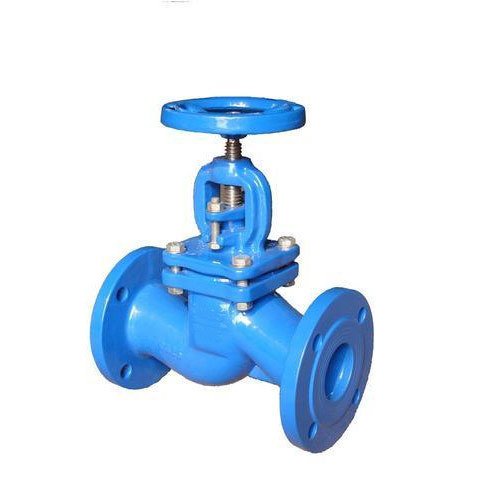 Angle Globe Valve