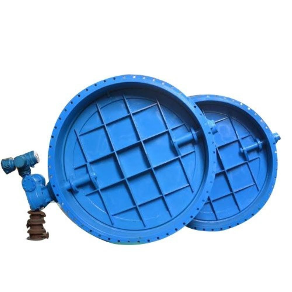 Omega Fabricated Gate Valve