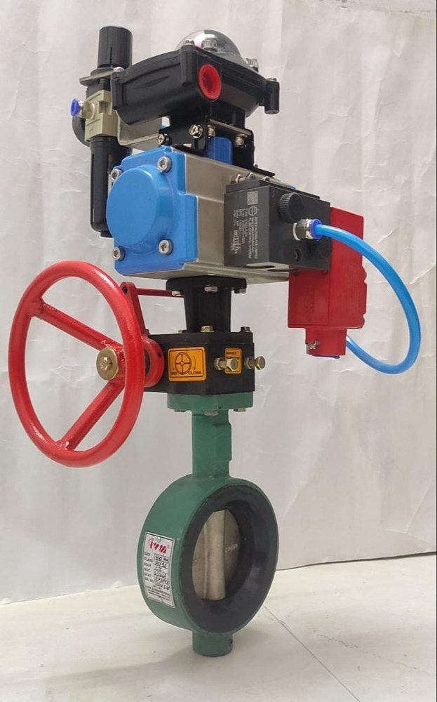 Ci/Cs/SS Actuated Valves, 230VAC/24VDC, Size: 15mm To 300mm