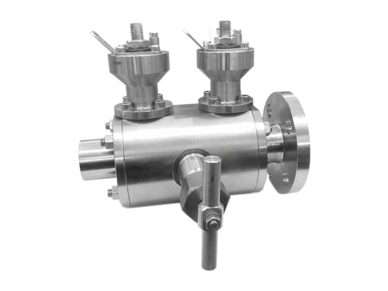 Double Block Bleed Valve