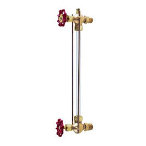 Brass 20-30 Bar Gauge Glass Valve