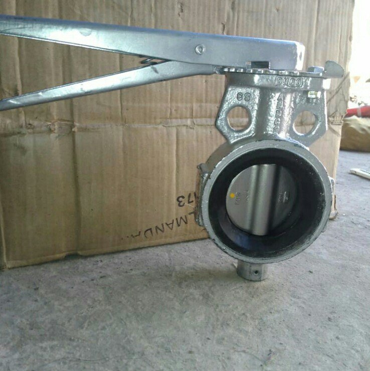 Audco Butterfly Valve