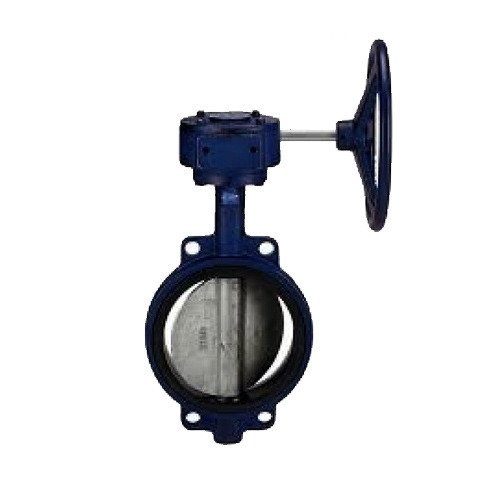 C I Butterfly Valve